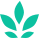 Naturopathy, Acupuncture & Yoga Centre